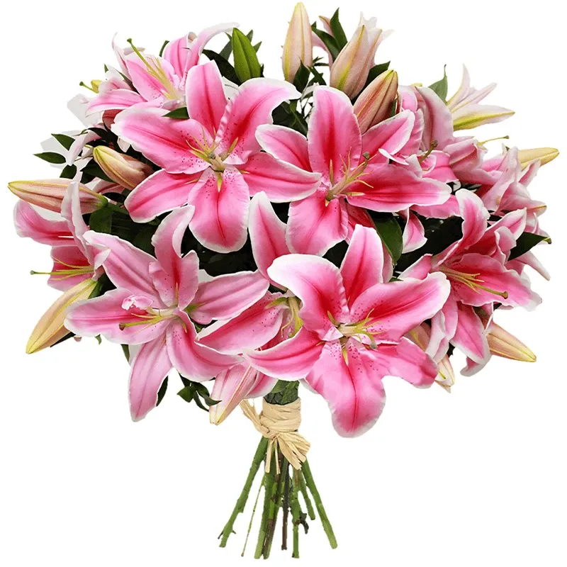 Лилии розовые